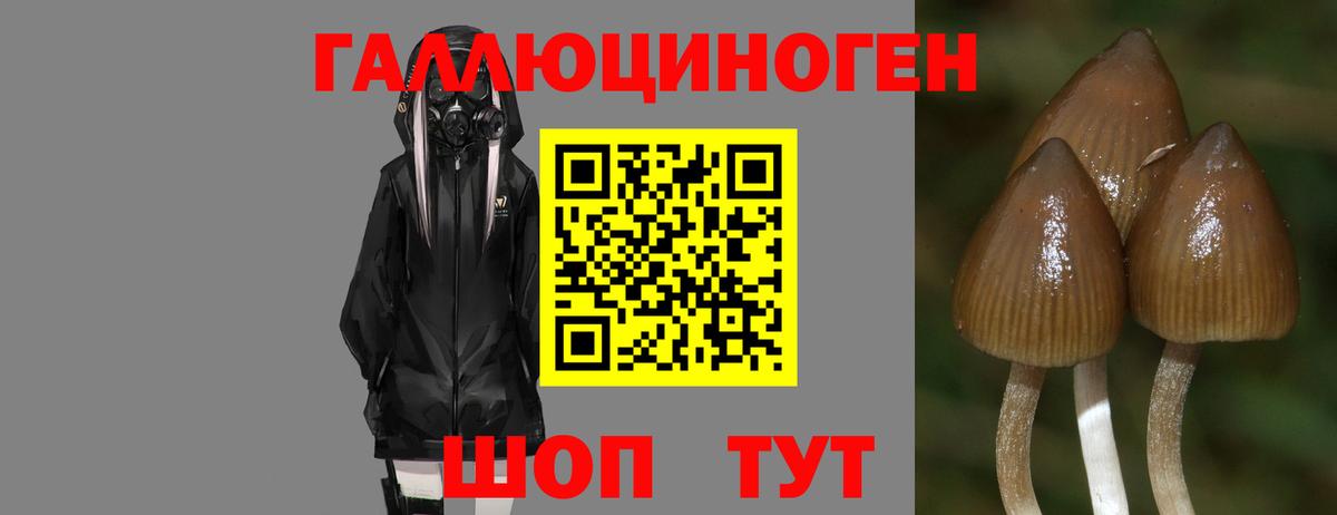 Галлюциногенные грибы Magic Shrooms  Вход с VPN  Дмитров 